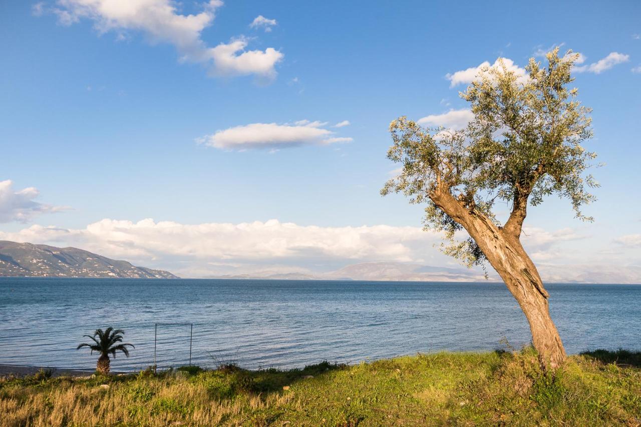 Merlyn Into The Nature, 100m From The Beach Dafnila